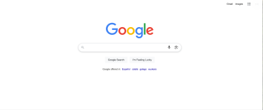 Google homepage with classic logo and search bar.