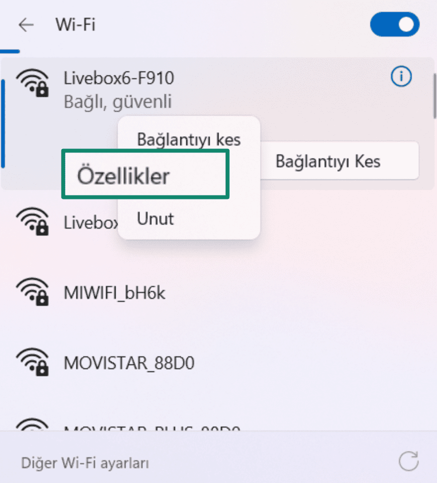 3.windows Wifi Properties Tr