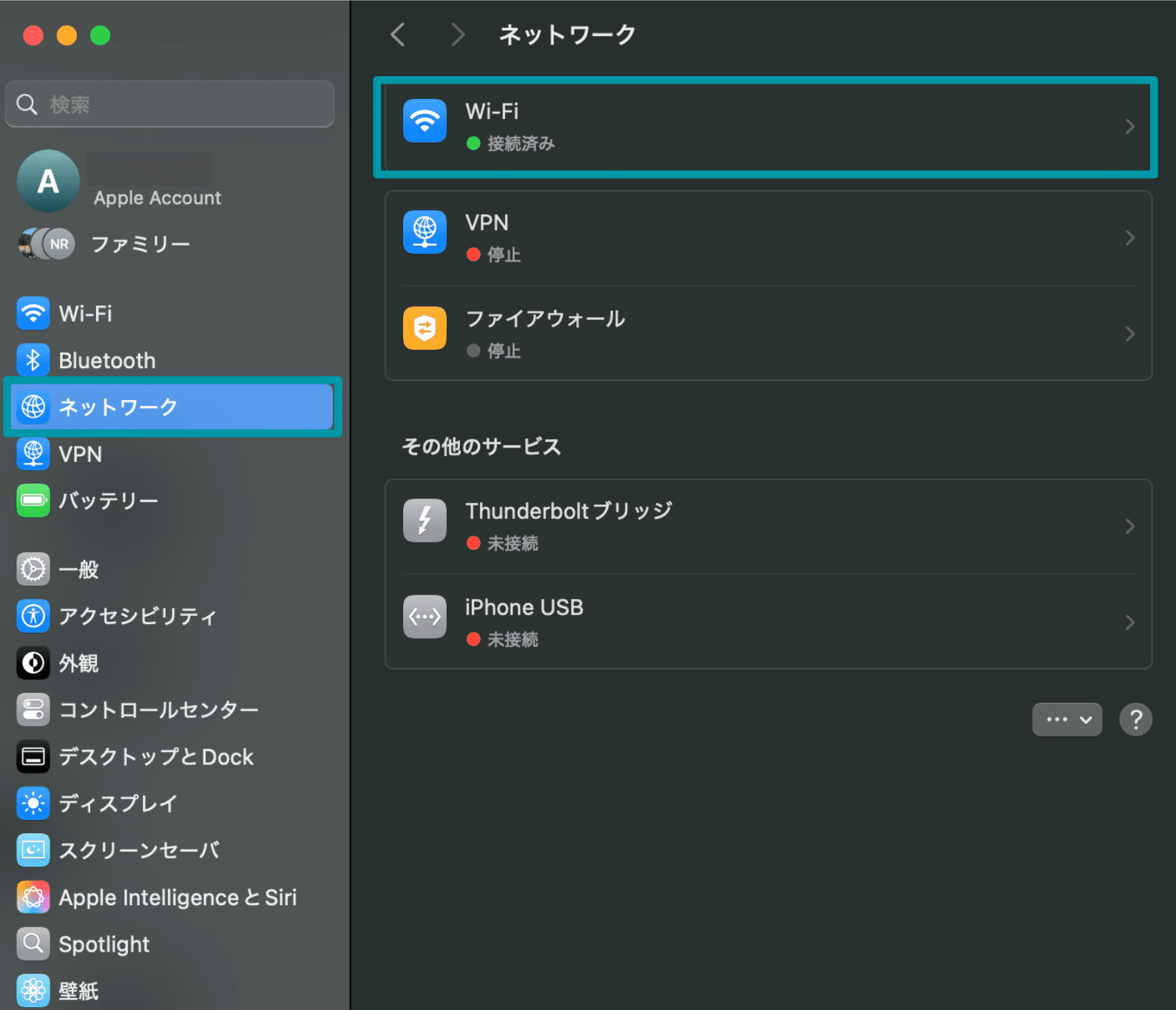 Access your connected Wi-Fi network on iOS to change its DNS settings.