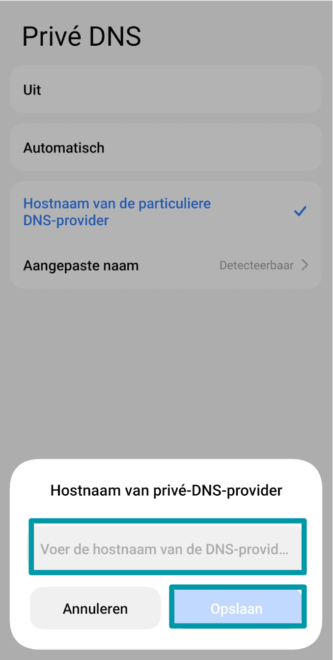 Enter The Dns Provider Settings Nl