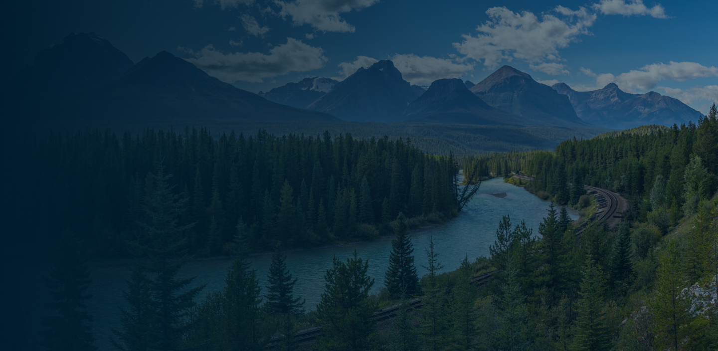 Seo Ca Server Hero Bg Desktop