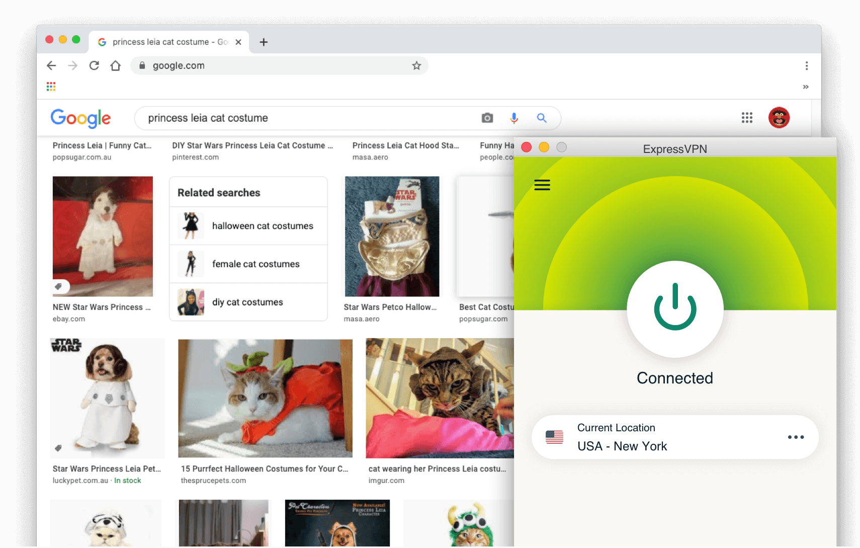 Googleの検索結果です。ExpressVPNをオンにした状態でレイア姫の猫のコスプレをしています。