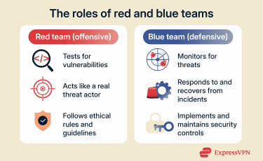A brief comparison of blue team and red team.