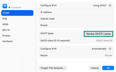 Renew DHCP Lease button in TCP/IP Settings.