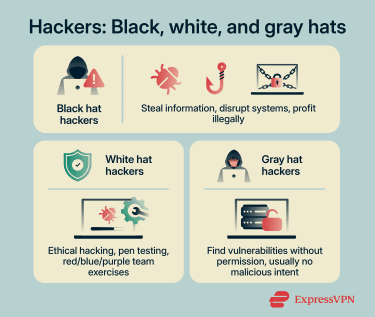Infographic comparing black, white, and gray hat hackers