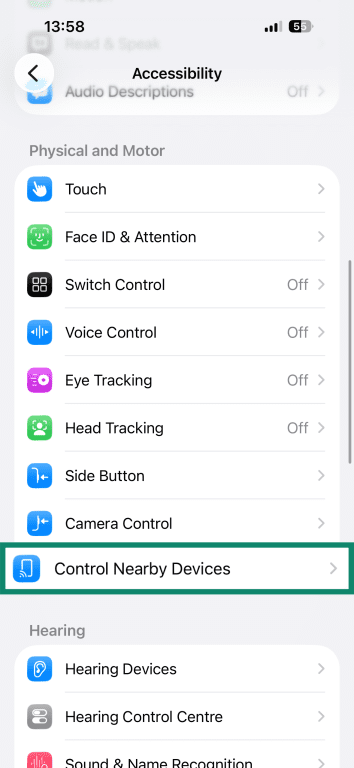 iOS accessibility settings.
