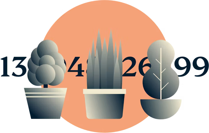 Drie planten die een getallenlijn bedekken.